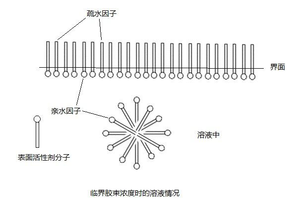 圖為表面活性劑分子圖