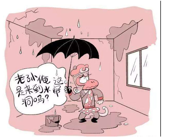 （屋子漏水漫畫(huà)圖）
