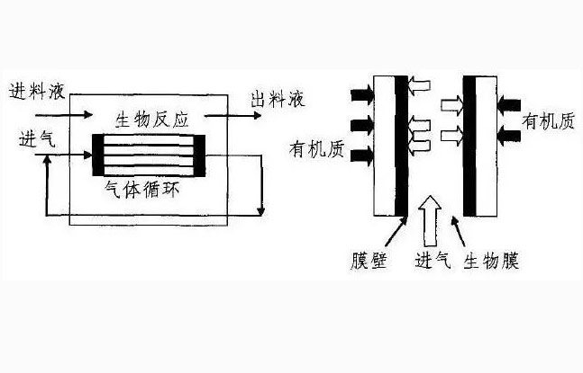 圖為生物水處理示意圖
