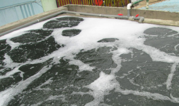 曝氣池起泡場(chǎng)景圖