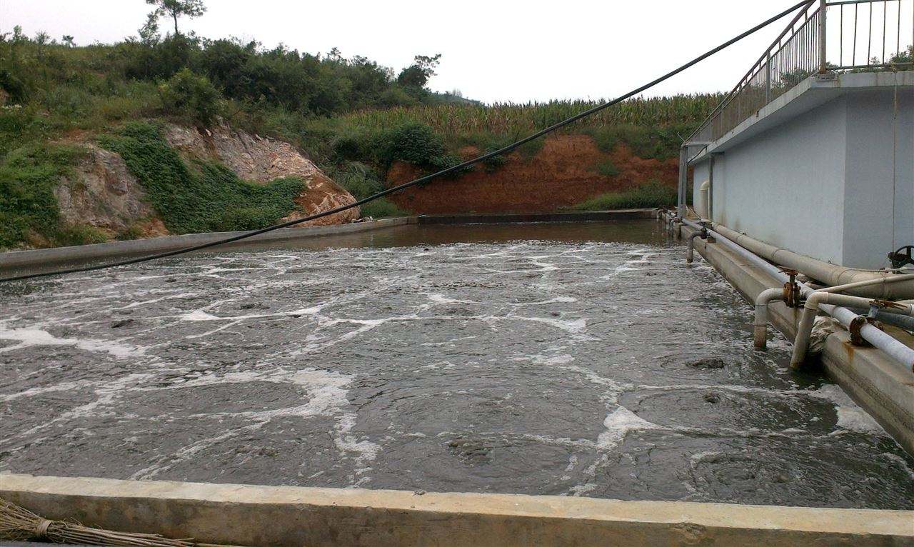 圖為養殖污水泡沫