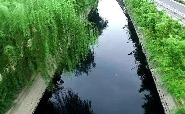 圖為臭黑水體場(chǎng)景