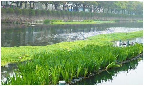 圖為生物水處理場(chǎng)景