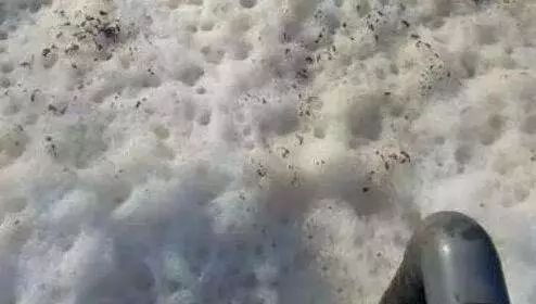圖為廢水泡沫