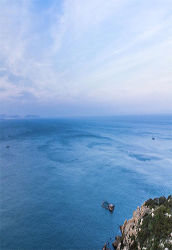海水淡化消泡劑