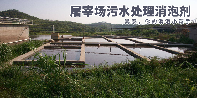  屠宰場(chǎng)污水處理消泡劑主題解說(shuō)