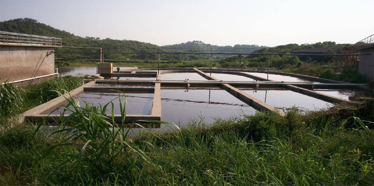 屠宰場(chǎng)污水處理消泡劑