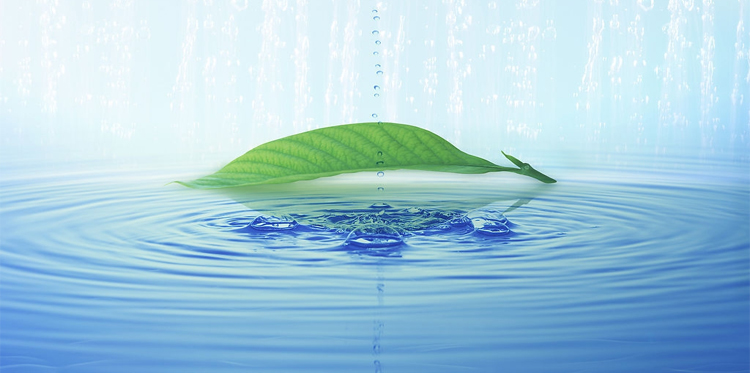 工業(yè)水處理消泡劑