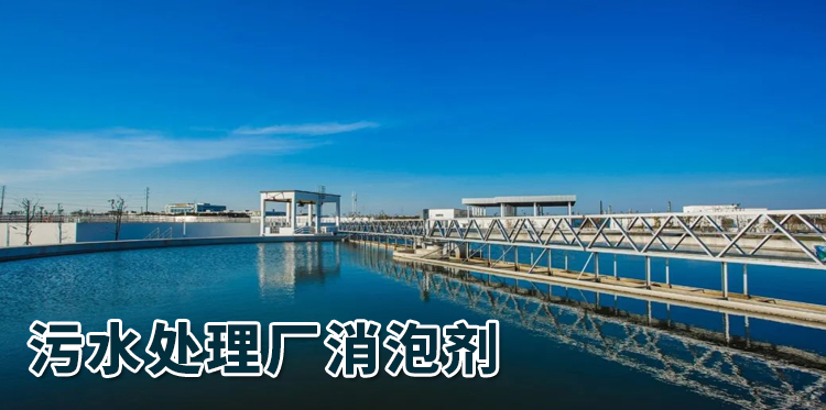 污水處理廠(chǎng)消泡劑主題解說(shuō)