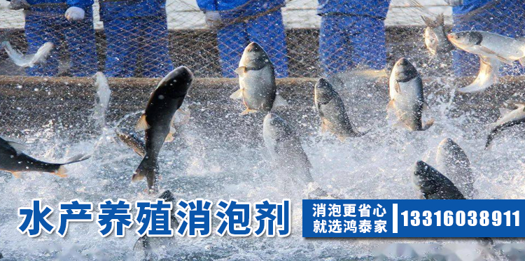 水產(chǎn)養殖消泡劑主題解說(shuō)