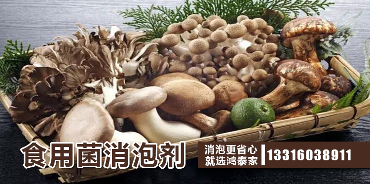 食用菌消泡劑主題解說(shuō)