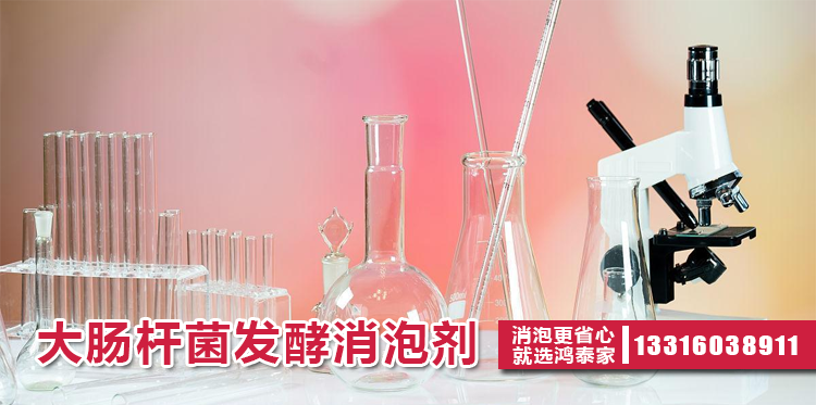 大腸桿菌發(fā)酵消泡劑主題解說(shuō)