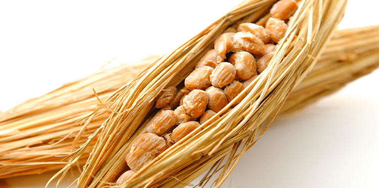 芽孢桿菌消泡劑