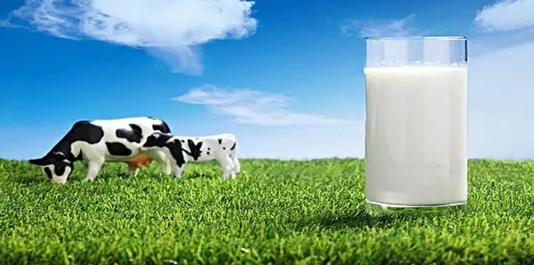 牛奶消泡劑